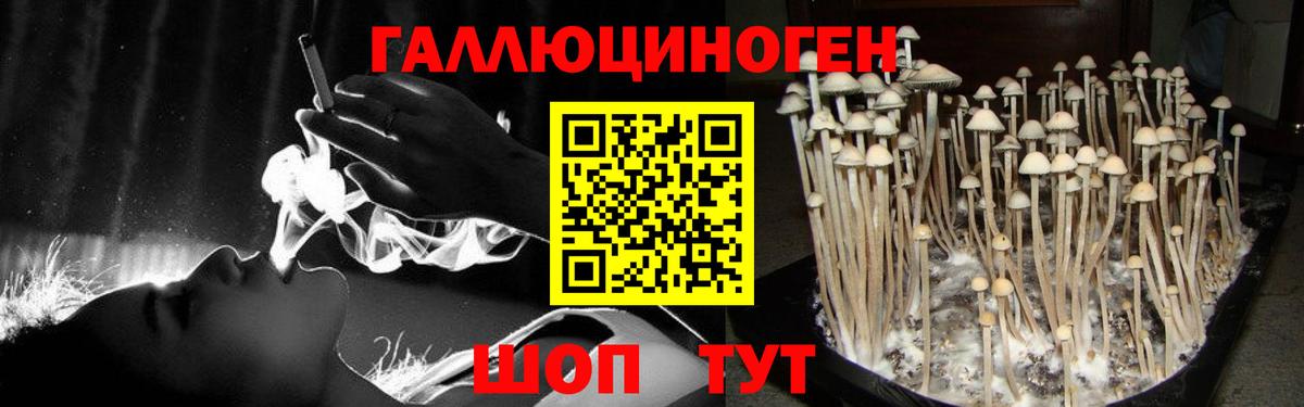Асбест  Галлюциногенные грибы мицелий  купить наркотик  Вход с VPN  Галлюциногенные грибы мухоморы 